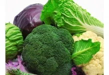 Çalışma: Brokoli Filizi Ve Lahana Kan Şekerini Düşürmeye Yardımcı Oluyor.