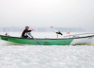 150 Fotoğraf Arasında Birinci Oldu. ‘Yaren Leylek’ Fotoğrafına Uluslararası Ödül