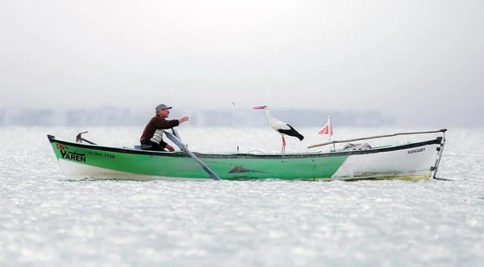 150 Fotoğraf Arasında Birinci Oldu. ‘Yaren Leylek’ Fotoğrafına Uluslararası Ödül