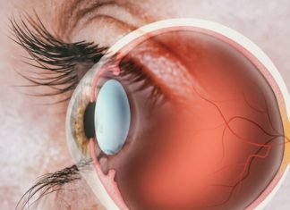 Retina sinirlerini yeniden oluşturarak görmeyi geri kazandıran ilaç geliştirildi.