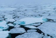 Araştırma/İklim değişikliğinin en büyük nedeni olarak görülüyor. Arktik buz örtüsü son 40 yılın en düşük seviyesinde