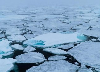 Araştırma/İklim değişikliğinin en büyük nedeni olarak görülüyor. Arktik buz örtüsü son 40 yılın en düşük seviyesinde