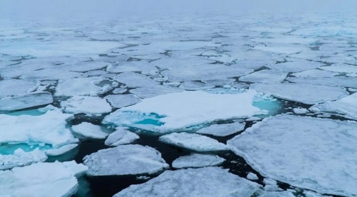 Araştırma/İklim değişikliğinin en büyük nedeni olarak görülüyor. Arktik buz örtüsü son 40 yılın en düşük seviyesinde