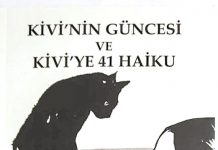 Bir Kedi(ler) kaybolur… Kedi ve can dostu zorlu bir sürecin içine girer… ‘Kivi’ nin Güncesi ve 41 Haiku’ raflarda yerini aldı.