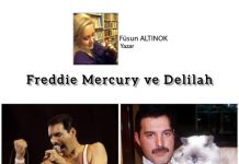 Füsun ALTINOK; Kediname 64 Freddie Mercury ve Delilah