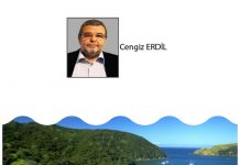 Cengiz ERDİL; İSTANBUL ORMANLARINA VEDA