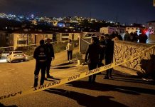 Komşu kavgası katliama dönüştü; 5 ölü, 5 yaralı!