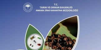 Bugün, ’12 Mayıs Uluslararası Dünya Bitki Sağlığı Günü’