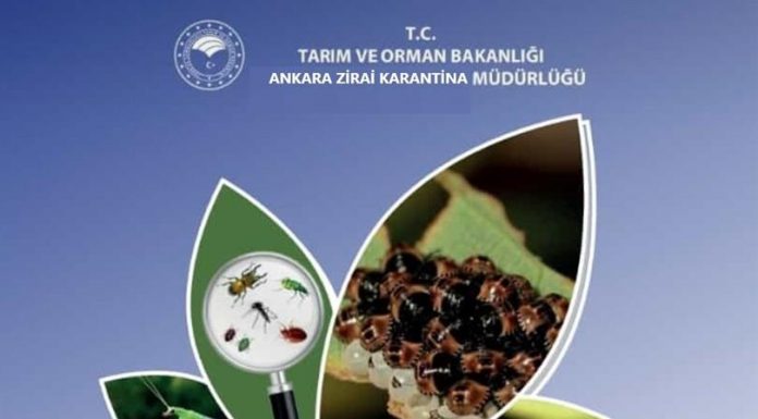 Bugün, ’12 Mayıs Uluslararası Dünya Bitki Sağlığı Günü’