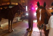 Atla markete giden biniciye alkollü araç kullanmaktan ceza kesildi!