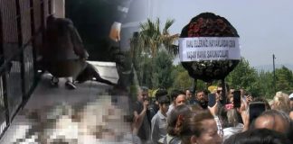 Bursa Osmangazi’de sokak hayvanları katliamı!
