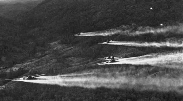 Vietnam 50 yıl önce zaferi kazandı ama ülke hala Agent Orange ile savaşıyor.