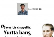 İsmet HERGÜNŞEN; MGK’da konuşulmayanlar