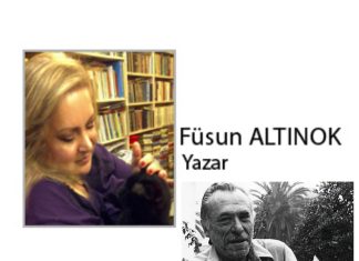 Füsun ALTINOK; Kediname 70: ‘Pis Moruk’un Tüylüleri