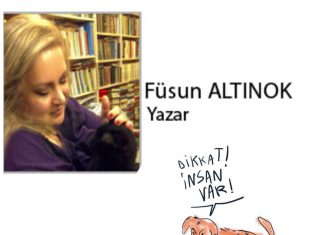 Füsun ALTINOK; Kediname 67 Elde Kan, Kalpte Kin