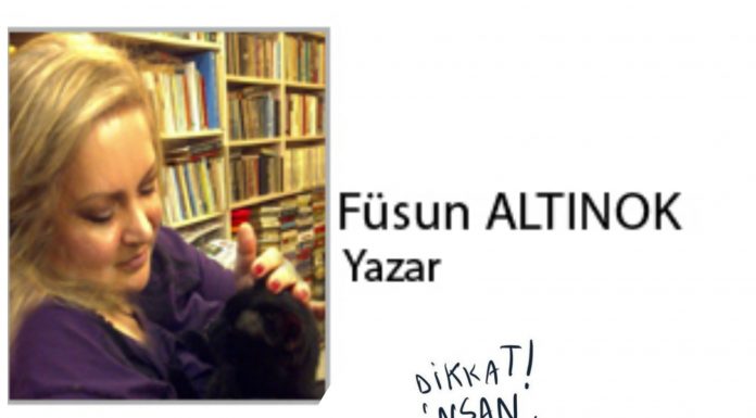 Füsun ALTINOK; Kediname 67 Elde Kan, Kalpte Kin