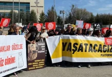 AYM sokaktaki hayvanlarla ilgili düzenlemenin iptalini reddetti!