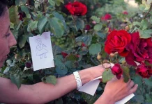 Bu gece Hıdırellez. Peki Hıdırellez’de neler yapılır? İşte Hıdırellez hakkında herşey