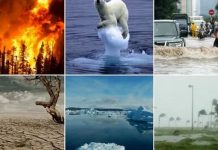 Araştırma/Geleneksel mevsimlerin yok olduğu dünyamızda artık nur topu gibi iki yeni mevsimimiz var