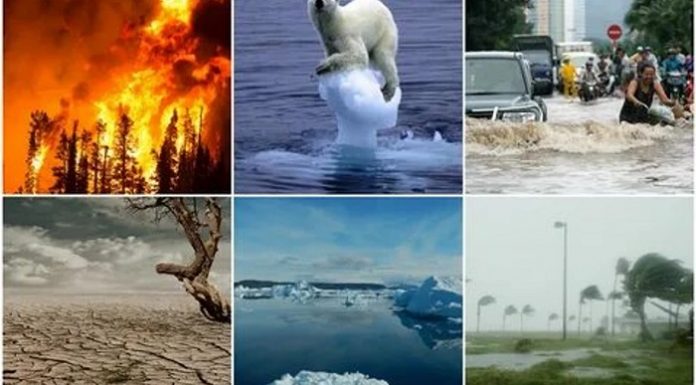 Araştırma/Geleneksel mevsimlerin yok olduğu dünyamızda artık nur topu gibi iki yeni mevsimimiz var