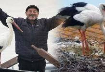 Karacabey’den mutlu haber. Yaren Leylek ile Eşi Nazlı’nı iki yavrusu yumurtadan çıktı