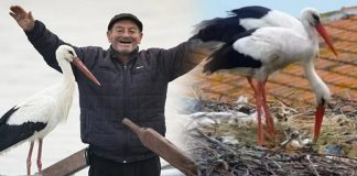 Karacabey’den mutlu haber. Yaren Leylek ile Eşi Nazlı’nı iki yavrusu yumurtadan çıktı