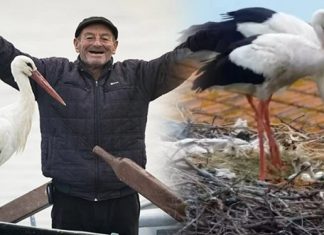Karacabey’den mutlu haber. Yaren Leylek ile Eşi Nazlı’nı iki yavrusu yumurtadan çıktı