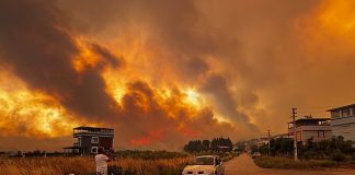 Orman Yangını: Bakan Yerlikaya: “50 binin üzerinde vatandaş geçici olarak güvenli bölgelere alındı”