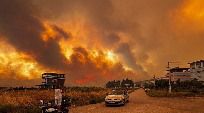 Orman Yangını: Bakan Yerlikaya: “50 binin üzerinde vatandaş geçici olarak güvenli bölgelere alındı”