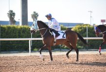 Gazi Koşusunu Cutha kazandı