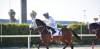 🎥🏆️Gazi Koşusunu Cutha kazandı