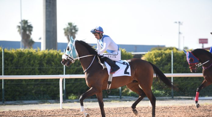 🎥🏆️Gazi Koşusunu Cutha kazandı