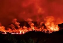 Orman yangını köyleri yutuyor!