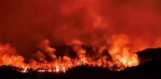 Orman yangını köyleri yutuyor!