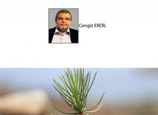 Cengiz ERDİL; DEVLETE GÖRE ORMAN YANGINLARINDA ZAYIFLIK