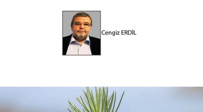 Cengiz ERDİL; DEVLETE GÖRE ORMAN YANGINLARINDA ZAYIFLIK