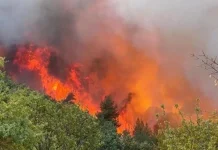 Yaz ayları boyunca yangın riski taşıyan 47 ilde, ormanlara giriş yasaklandı.