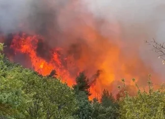 Yaz ayları boyunca yangın riski taşıyan 47 ilde, ormanlara giriş yasaklandı.