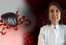 Prof. Bulut uyardı: ‘İstanbul’da kene istilası var, acil tedbir alın’