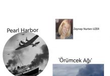 Zeynep Nurten UZER; Pearl Harbor’dan Hiroşima’ya/Kamikaze İHA’lardan nereye?
