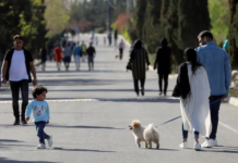 O ülkede köpek gezdirmek yasak!