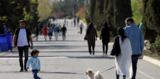 O ülkede köpek gezdirmek yasak!