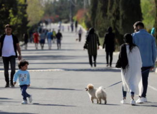 O ülkede köpek gezdirmek yasak!