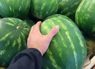 Tüketmenin tam zamanı. Eve kelek olanı götürmemek için iyi karpuz nasıl seçilir?