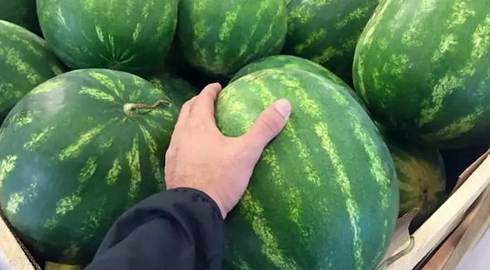 Tüketmenin tam zamanı. Eve kelek olanı götürmemek için iyi karpuz nasıl seçilir?