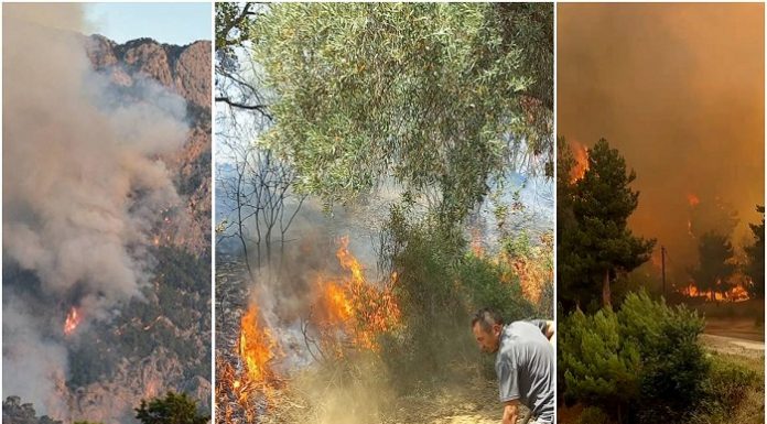 Türkiye alev alev. İşte orman yangınlarında son durum