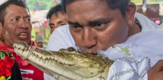 📽️Meksika’daki bir belediye başkanı, hasat ritüelinin bir parçası olarak bir timsahla evlendi