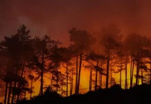 Bursa’nın Orhaneli ilçesinde rüzgarın etkisiyle yeniden büyüyen orman yangınına müdahale sürüyor.