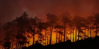Bursa’nın Orhaneli ilçesinde rüzgarın etkisiyle yeniden büyüyen orman yangınına müdahale sürüyor.