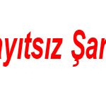 15 temmuz